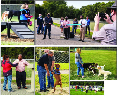 The Fm Extra | More Room to Romp at new dog park